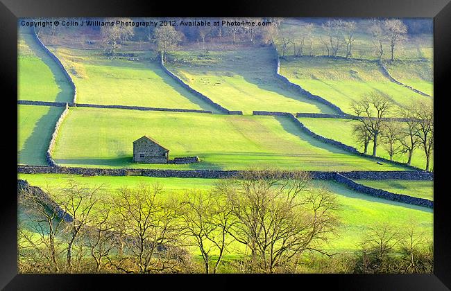 The Yorkshire Dales Framed Print by Colin Williams Photography