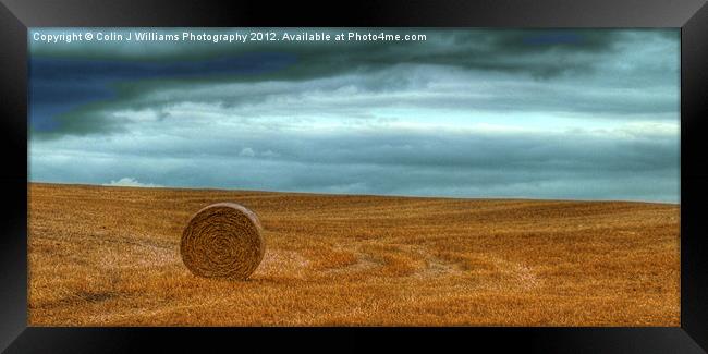 Lone Straw Bale Framed Print by Colin Williams Photography