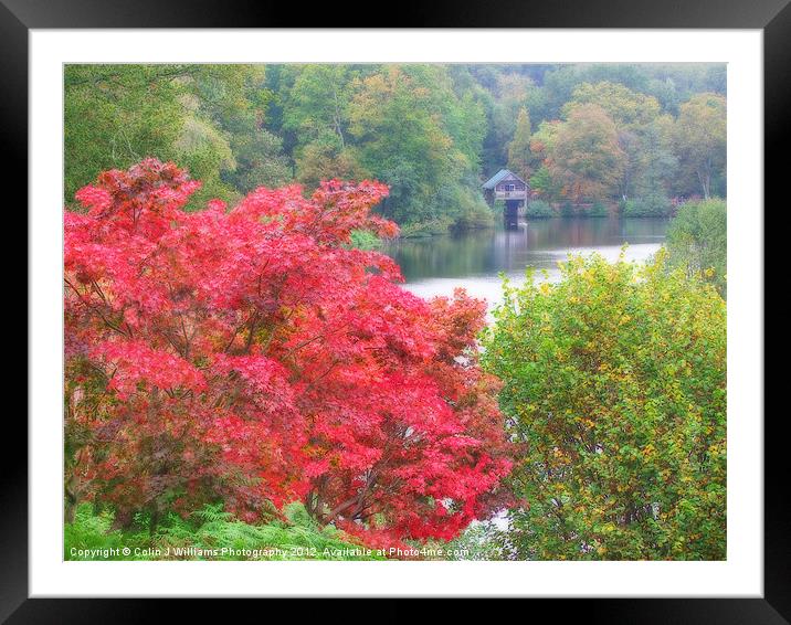 The Boathouse At Winkworth Arboretum Framed Mounted Print by Colin Williams Photography