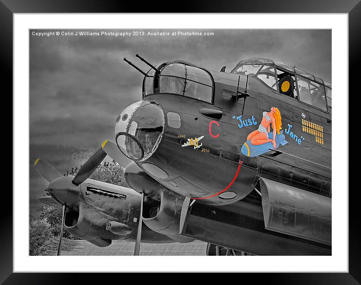 Just Jane SC Framed Mounted Print by Colin Williams Photography