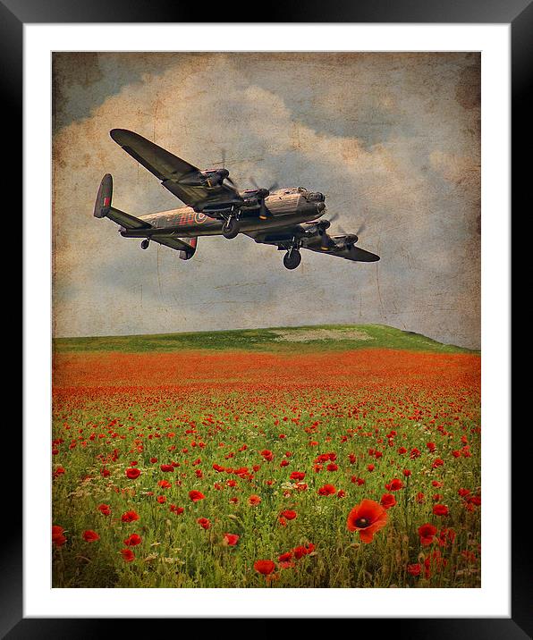We Remember Them Framed Mounted Print by Colin Williams Photography