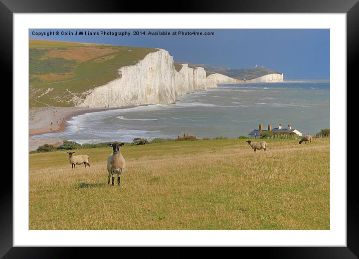  Sheep and the Seven Sisters Framed Mounted Print by Colin Williams Photography