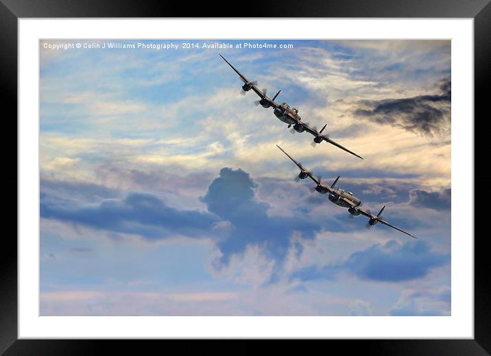  High Flying Birds Framed Mounted Print by Colin Williams Photography