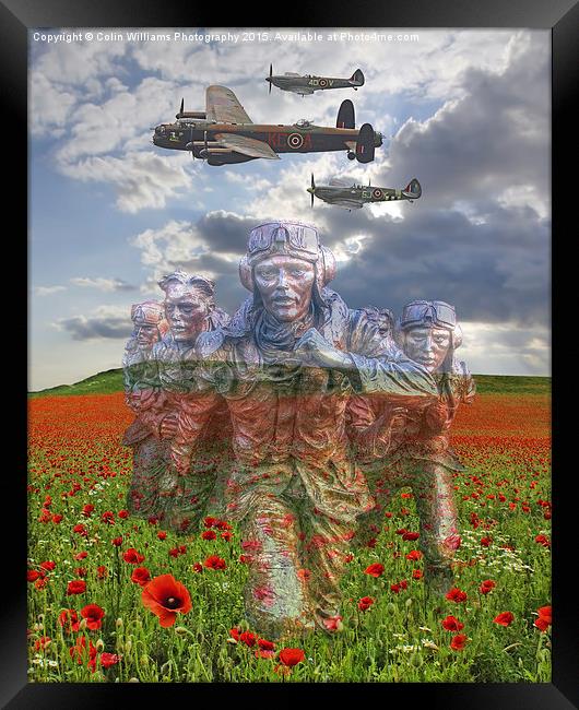  We Remember Them Framed Print by Colin Williams Photography
