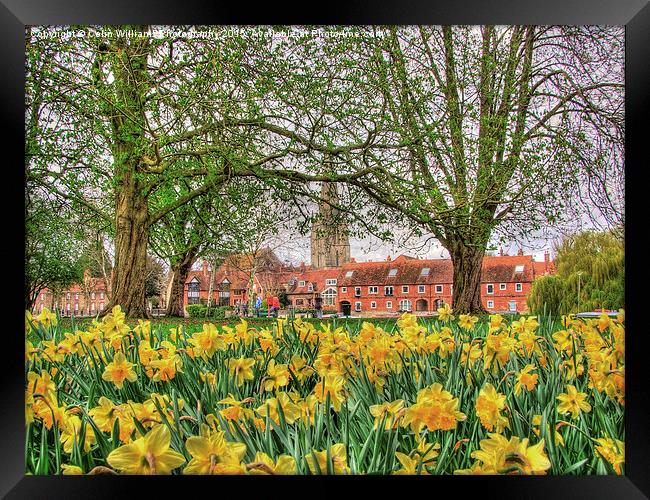  Abingdon Oxfordshire Framed Print by Colin Williams Photography