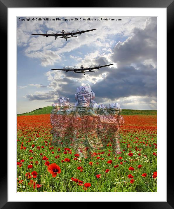   We Remember Them ! Framed Mounted Print by Colin Williams Photography