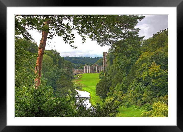  Fountains Abbey Yorkshire 1 Framed Mounted Print by Colin Williams Photography