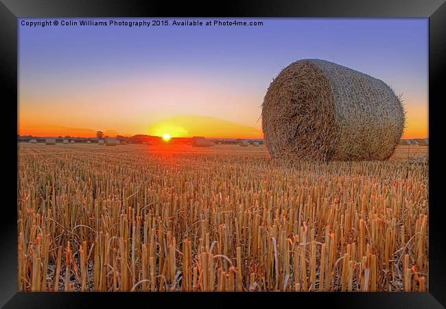  Bales at Sunset 1 Framed Print by Colin Williams Photography
