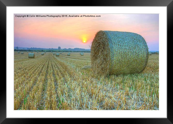   Bales at Sunset 2 Framed Mounted Print by Colin Williams Photography