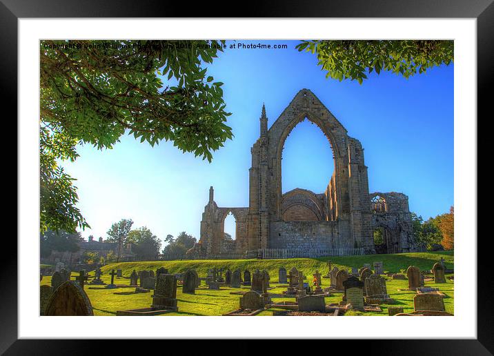    Bolton Abbey 4 Framed Mounted Print by Colin Williams Photography