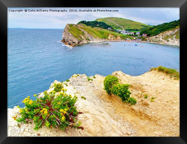 Lulworth Cove Dorset Framed Print by Colin Williams Photography