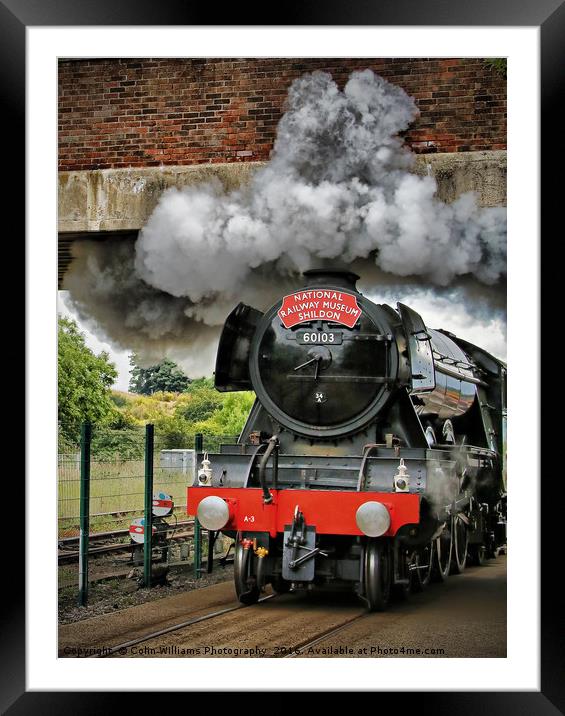 The Return Of The Flying Scotsman NRM Shildon 1 Framed Mounted Print by Colin Williams Photography