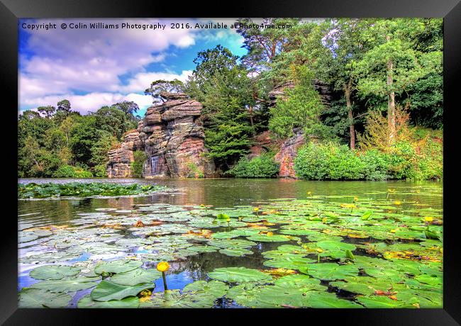 Plumpton Rocks North Yorkshire 1 Framed Print by Colin Williams Photography