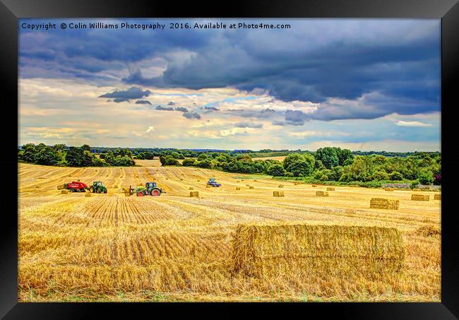 Creating Straw Bales After Harvest Of  Barley Framed Print by Colin Williams Photography