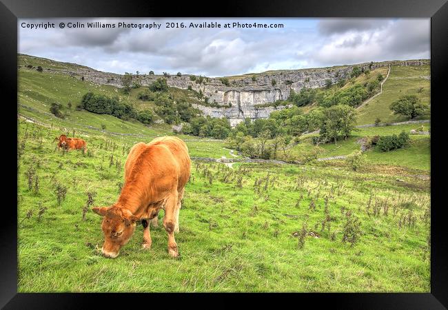 The Cliffs Of Malham Cove 1 Framed Print by Colin Williams Photography