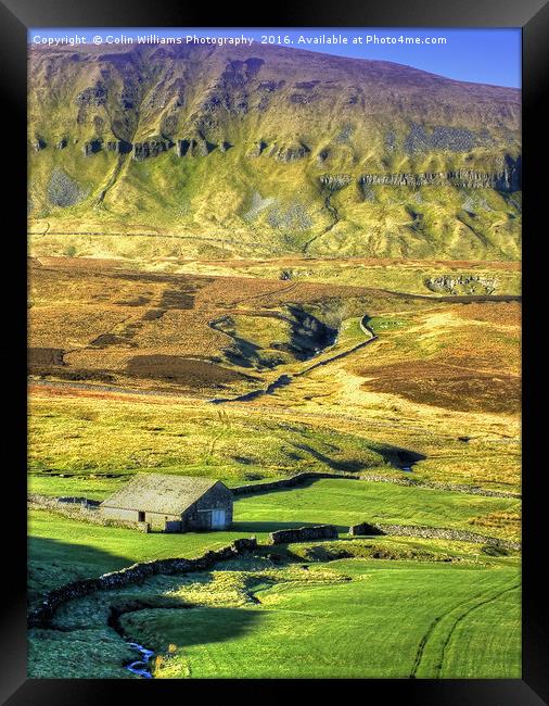 Pen-y-ghent North Yorkshire - 1 Framed Print by Colin Williams Photography