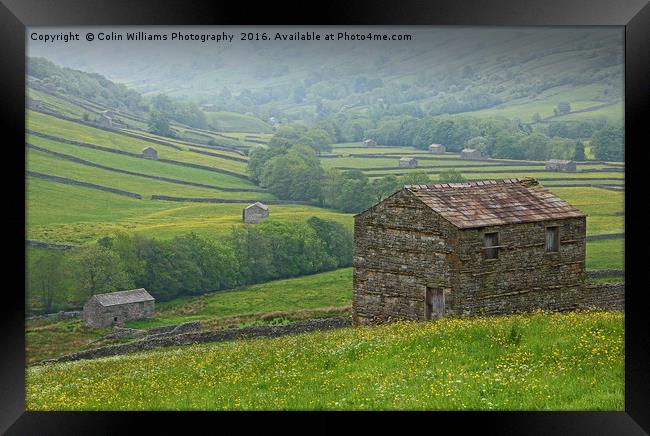 The Barns of Swaledale Yorkshire. Framed Print by Colin Williams Photography