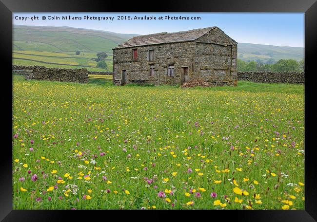 The Summer Meadows of Swaledale Framed Print by Colin Williams Photography
