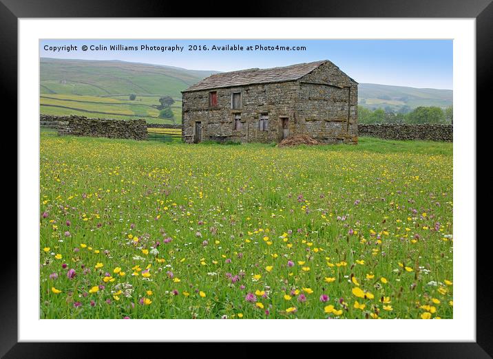The Summer Meadows of Swaledale Framed Mounted Print by Colin Williams Photography