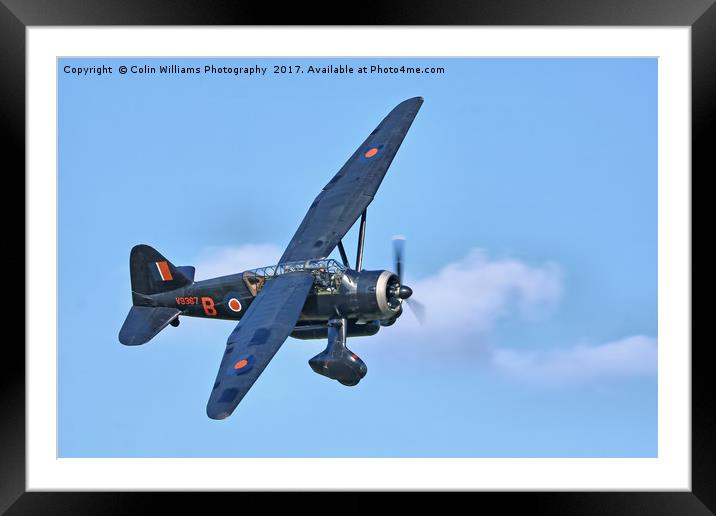 1938 WESTLAND LYSANDER - 1 Framed Mounted Print by Colin Williams Photography