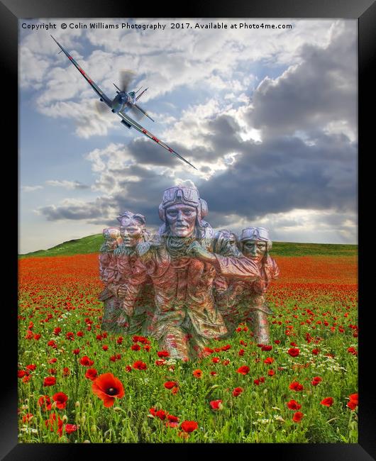 We Salute The Few Framed Print by Colin Williams Photography