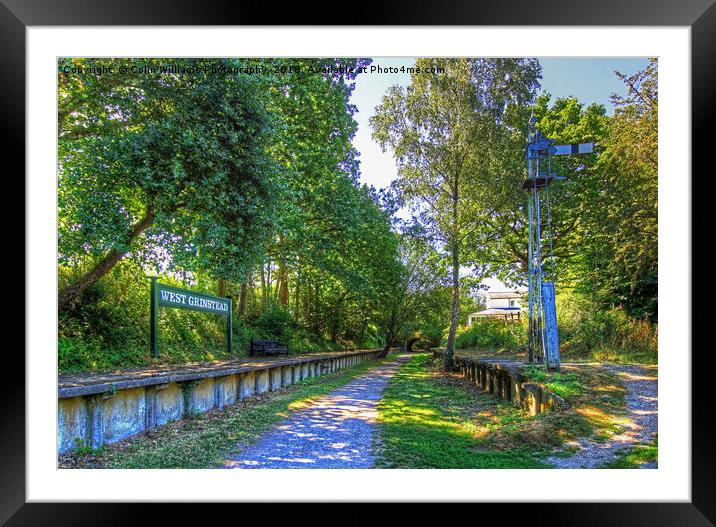 West Grinstead Railway Station 1 Framed Mounted Print by Colin Williams Photography