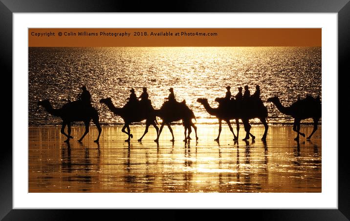 Beach Camels at Sunset 1 Framed Mounted Print by Colin Williams Photography