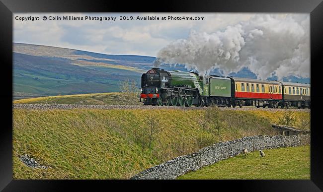 Tornado 60163 and Pen-y-Ghent Yorkshire - 2 Framed Print by Colin Williams Photography