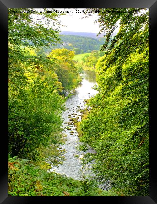 The River Wharfe Bolton Abbey - 1 Framed Print by Colin Williams Photography