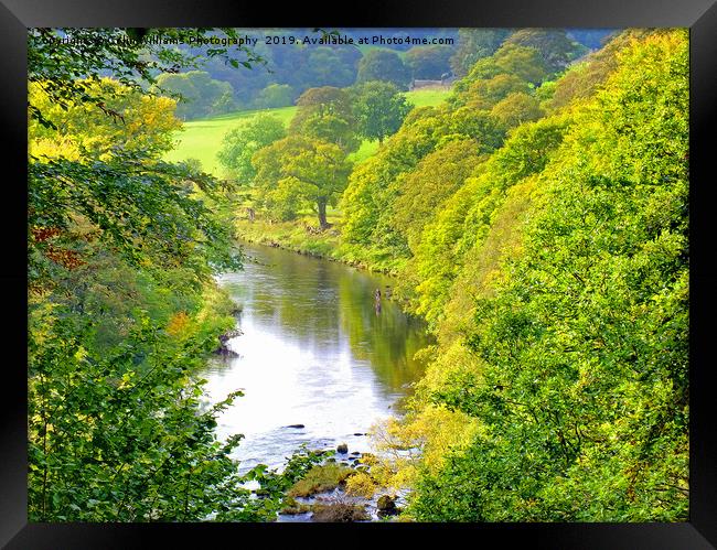 The River Wharfe Bolton Abbey - 2 Framed Print by Colin Williams Photography