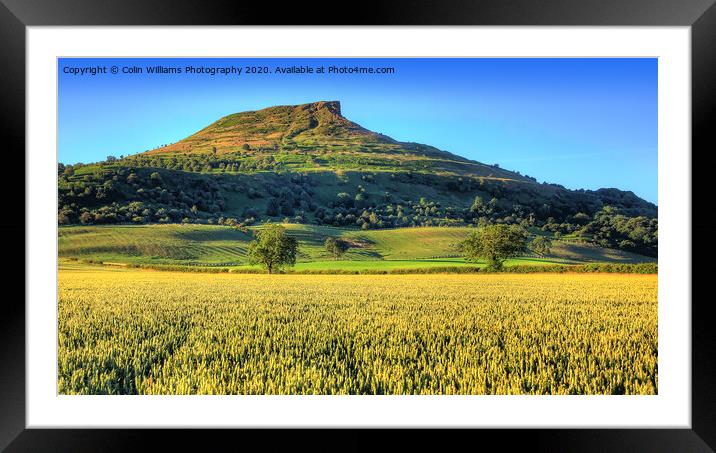 Roseberry Topping North Yorkshire 3 Framed Mounted Print by Colin Williams Photography