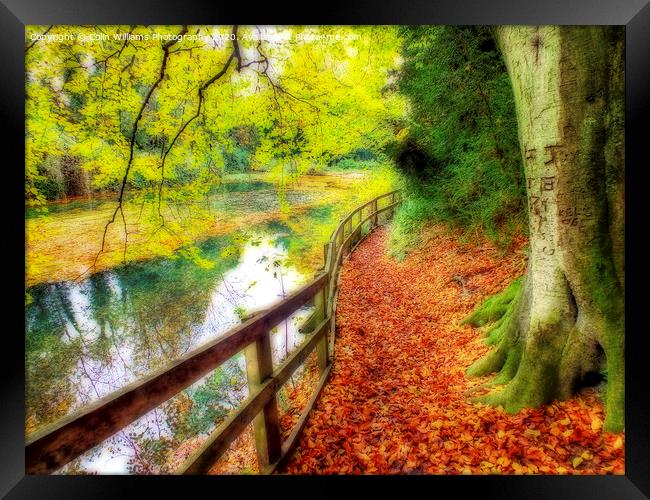 The Silent Pool with A carpet of autumn leaves Framed Print by Colin Williams Photography