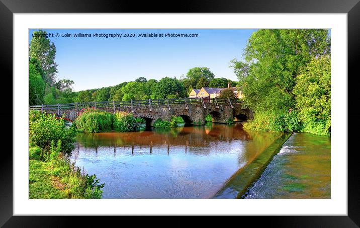 Tilford In Summer Framed Mounted Print by Colin Williams Photography