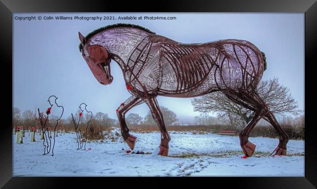 The Featherstone War Horse - 5 Framed Print by Colin Williams Photography