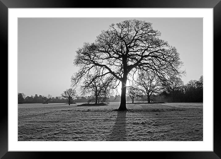 A January Morning Framed Mounted Print by Tony Murtagh