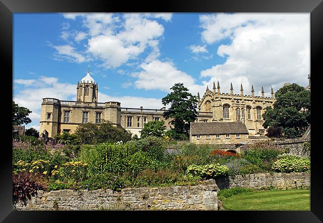 Christ Church Cathedral Oxford Framed Print by Tony Murtagh