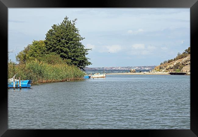 Mouth of River Ropotamo Framed Print by Tony Murtagh