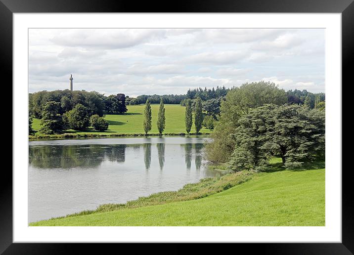 Queen Pool Blenheim Framed Mounted Print by Tony Murtagh