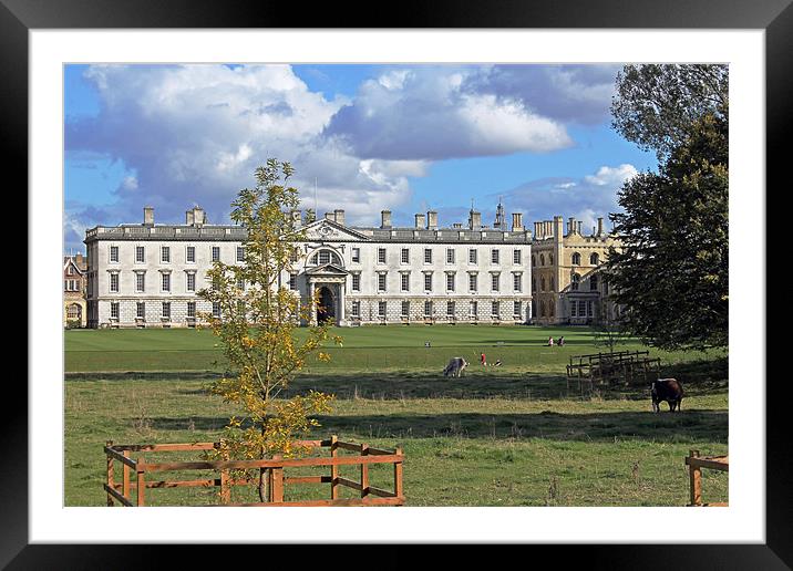 The Gibbs Building Framed Mounted Print by Tony Murtagh