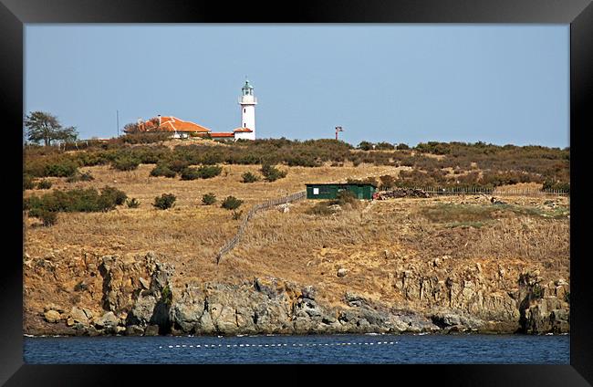 St Ivan Island Lighthouse Framed Print by Tony Murtagh