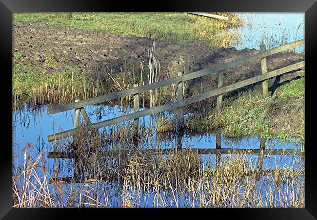 Reflections of Fence Framed Print by Tony Murtagh