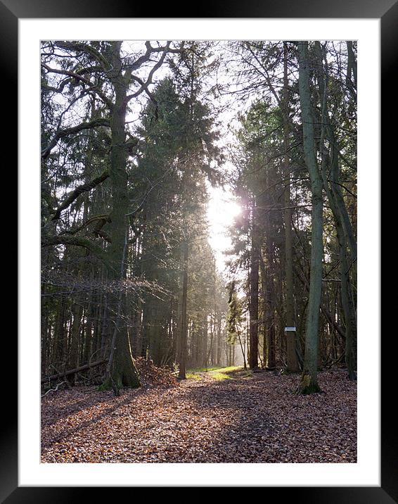 A crisp winter morning Framed Mounted Print by Tony Murtagh