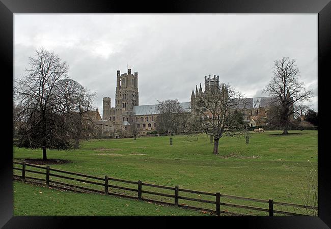 Ely Cathedral Framed Print by Tony Murtagh