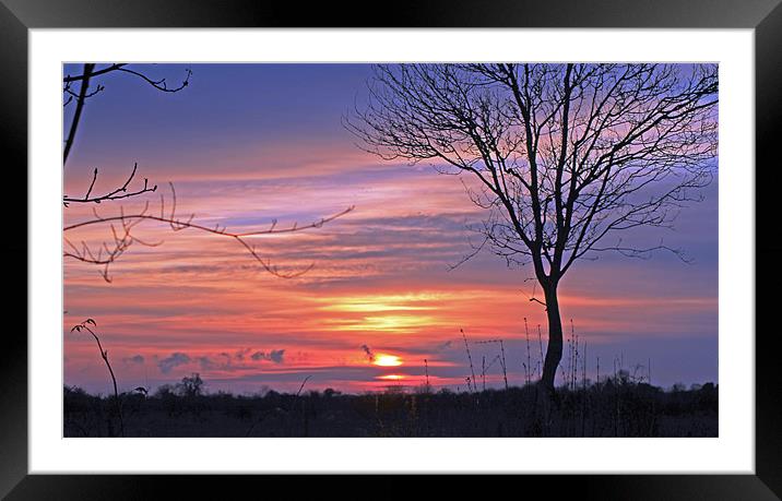 Countryside Sunset Framed Mounted Print by Tony Murtagh