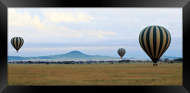 Balloons over Serengeti Framed Print by Tony Murtagh