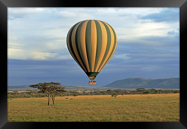 Hot Air Balloon over Serengeti Framed Print by Tony Murtagh