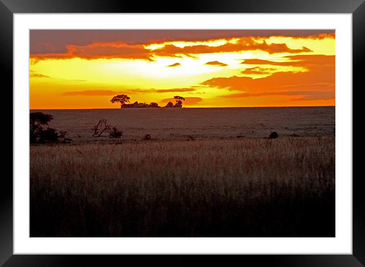 Serengeti Dawn Framed Mounted Print by Tony Murtagh