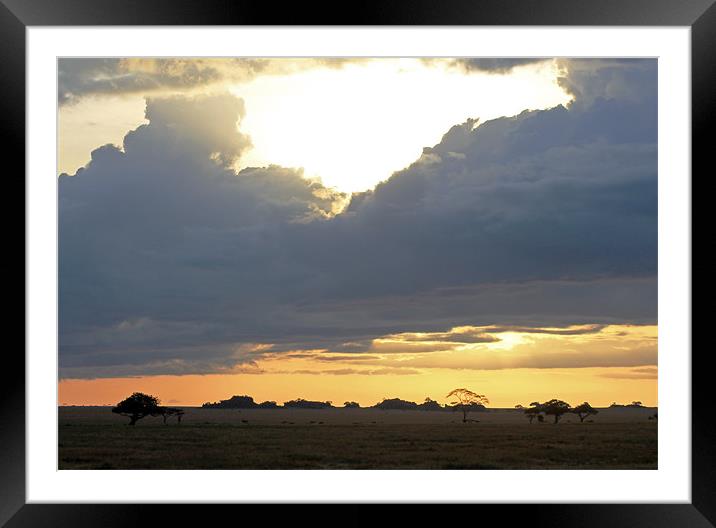Early Morning on the Serengeti Framed Mounted Print by Tony Murtagh