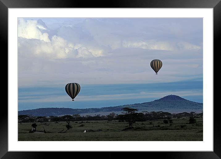 Balloons above Serengeti. Framed Mounted Print by Tony Murtagh