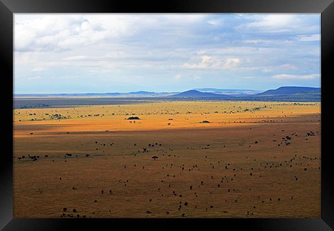 Serengeti landscape Framed Print by Tony Murtagh